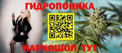 СК Бузулук